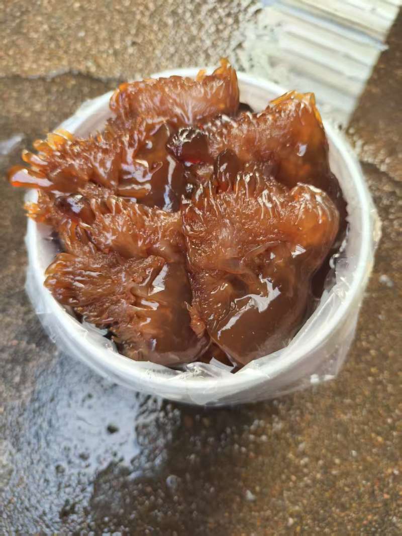 【海蜇头】厂家直发，品质保证，规格齐全可对接各大市场商超