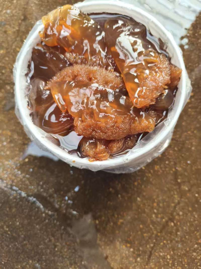 【海蜇头】厂家直发，品质保证，规格齐全可对接各大市场商超