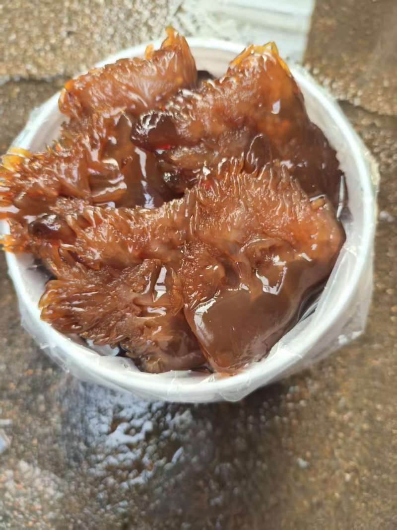 【海蜇头】厂家直发，品质保证，规格齐全可对接各大市场商超