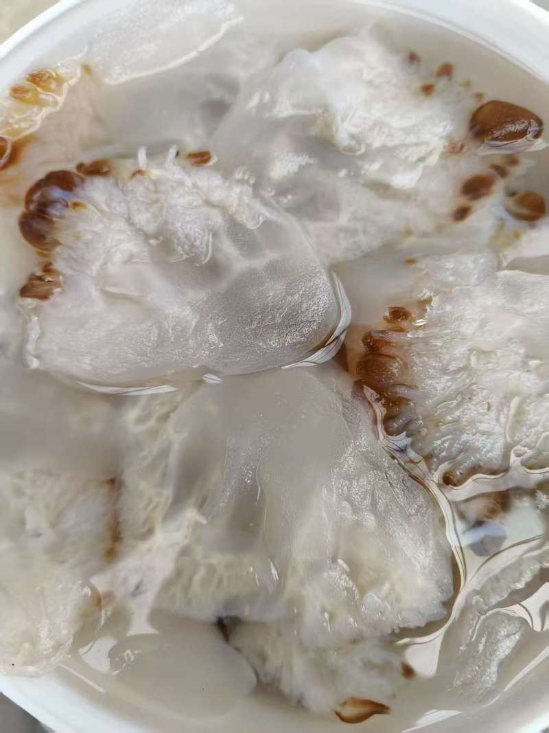 【海蜇头】厂家直发，品质保证，规格齐全可对接各大市场商超