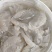 【海蜇头】厂家直发，品质保证，规格齐全可对接各大市场商超