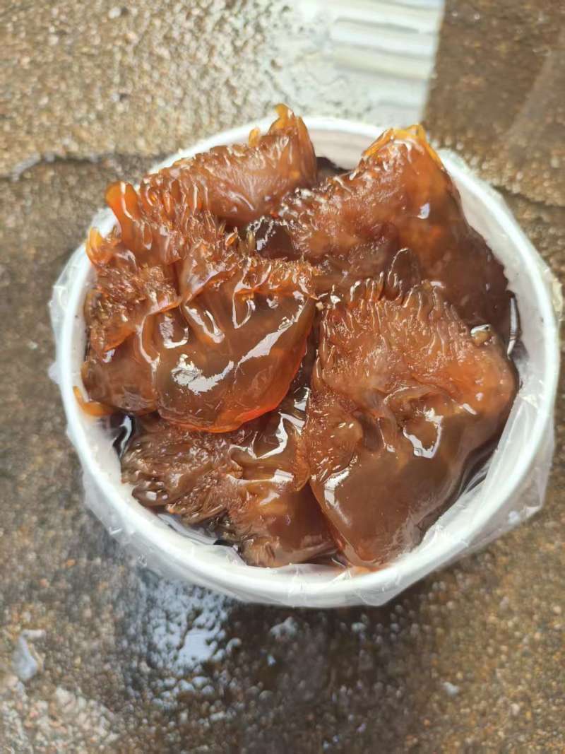 【海蜇头】厂家直发，品质保证，规格齐全可对接各大市场商超