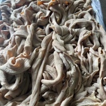 正宗纯干半熟《牛肠》大肠，小肠伞袋都是抛开去油量大从优