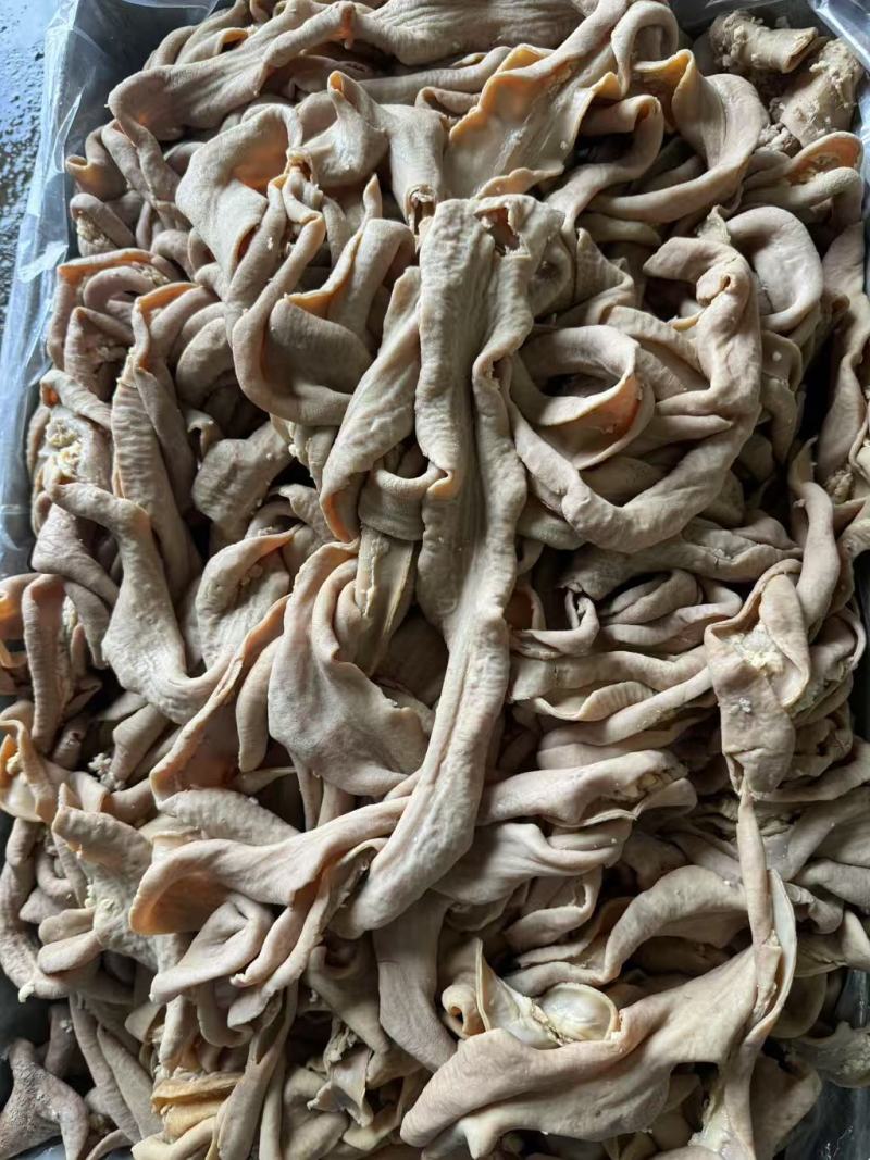 正宗纯干半熟《牛肠》大肠，小肠伞袋都是抛开去油量大从优