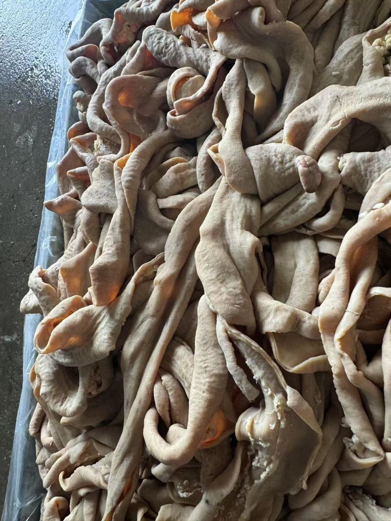 正宗纯干半熟《牛肠》大肠，小肠伞袋都是抛开去油量大从优