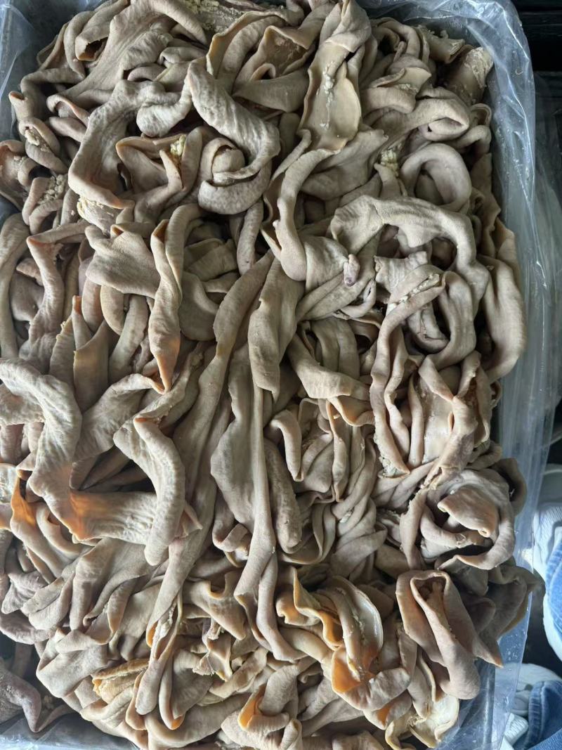 正宗纯干半熟《牛肠》大肠，小肠伞袋都是抛开去油量大从优