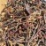 灵芝王长脚红灵芝小红灵芝苦一手货源稳定直供