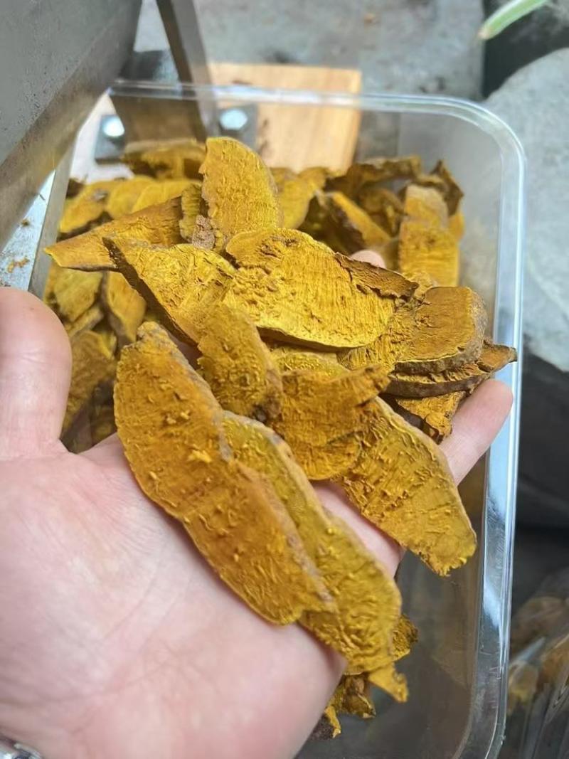 野生岩桑黄桑树桑黄野生桑黄各规格齐全一手货源