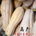 江蔬金牌大蜜本南瓜种子大田种植成熟果深黄色味甜高产耐贮运