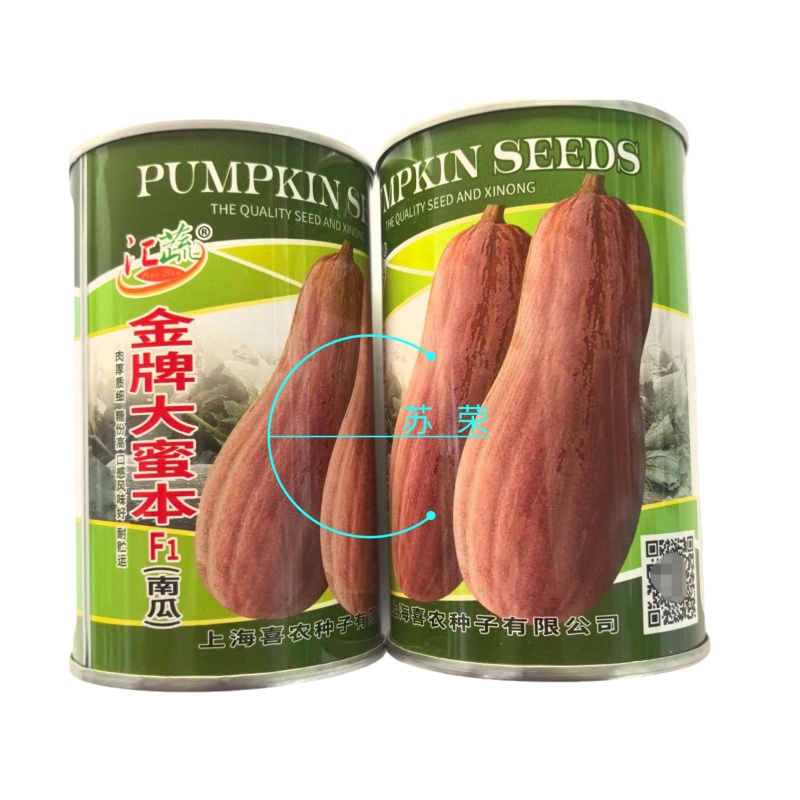 江蔬金牌大蜜本南瓜种子大田种植成熟果深黄色味甜高产耐贮运