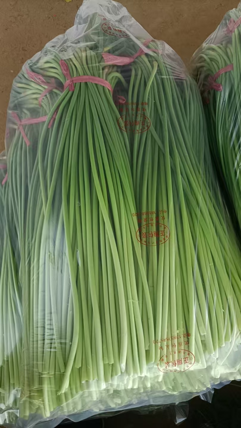 红帽蒜苔继续接单价格美丽承接社区团购市场档口超市电商平台