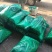 红帽蒜苔继续接单价格美丽承接社区团购市场档口超市电商平台