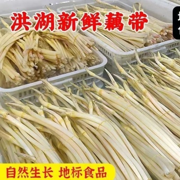 湖北新鲜藕带