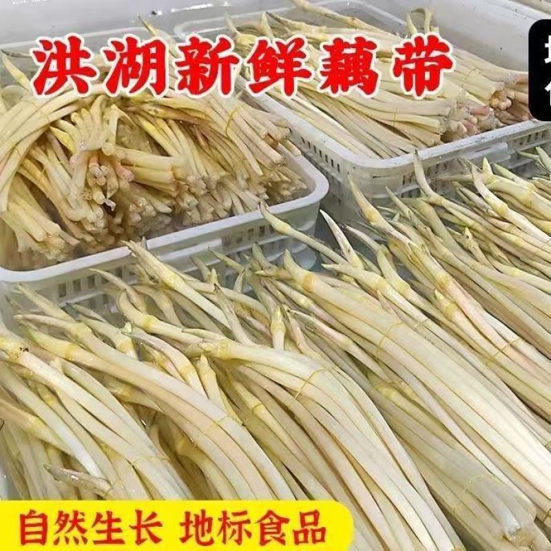 湖北新鲜藕带