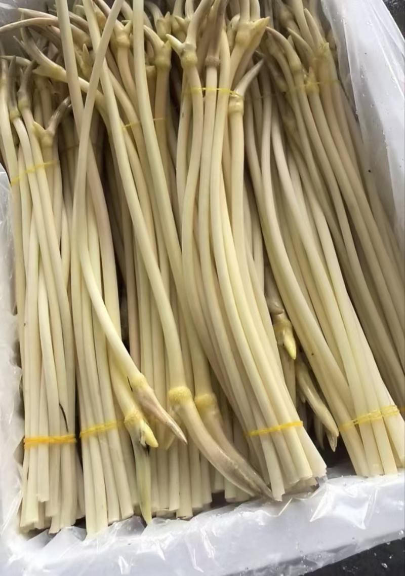 湖北新鲜藕带