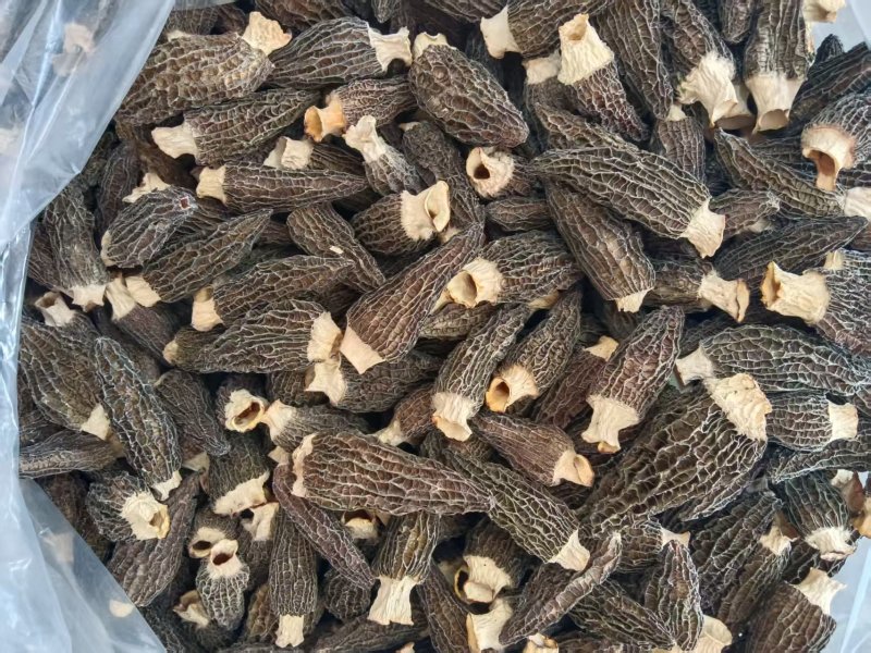 **六妹羊肚菌手选干货7-9