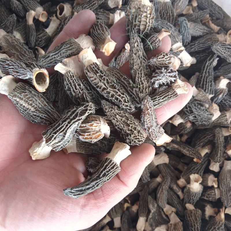 **头茬手选2-4精品小羊肚菌