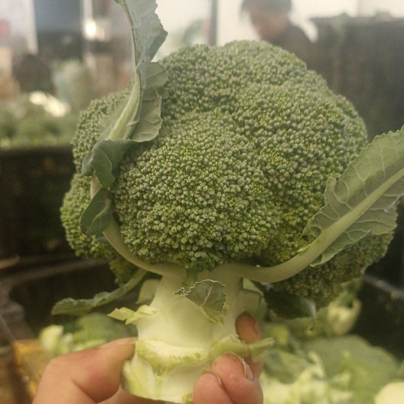 精品西兰花