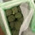精品西兰花