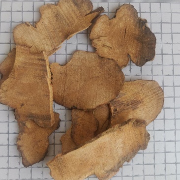 土茯苓，无硫，产地一手货源，实拍现货24小时内发货
