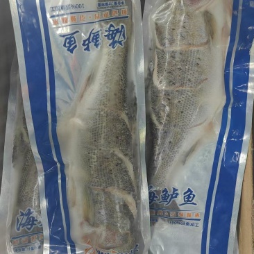 开背鲈鱼