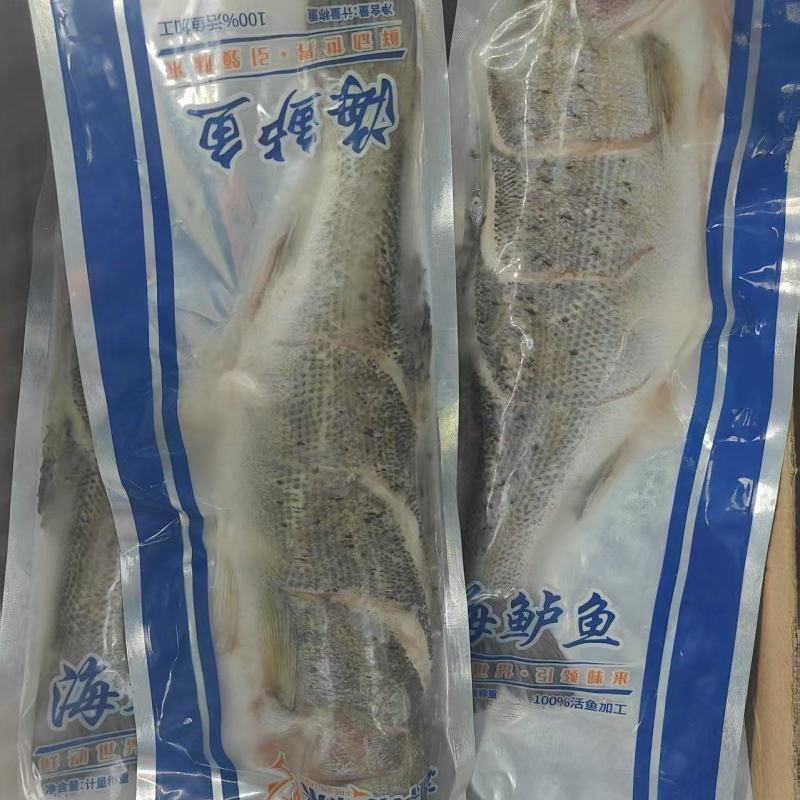 开背鲈鱼