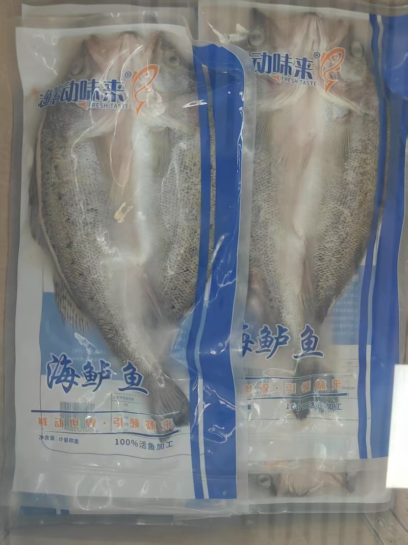 开背鲈鱼