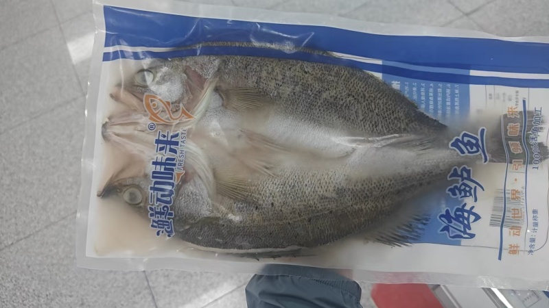 开背鲈鱼