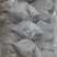 鲳鱼