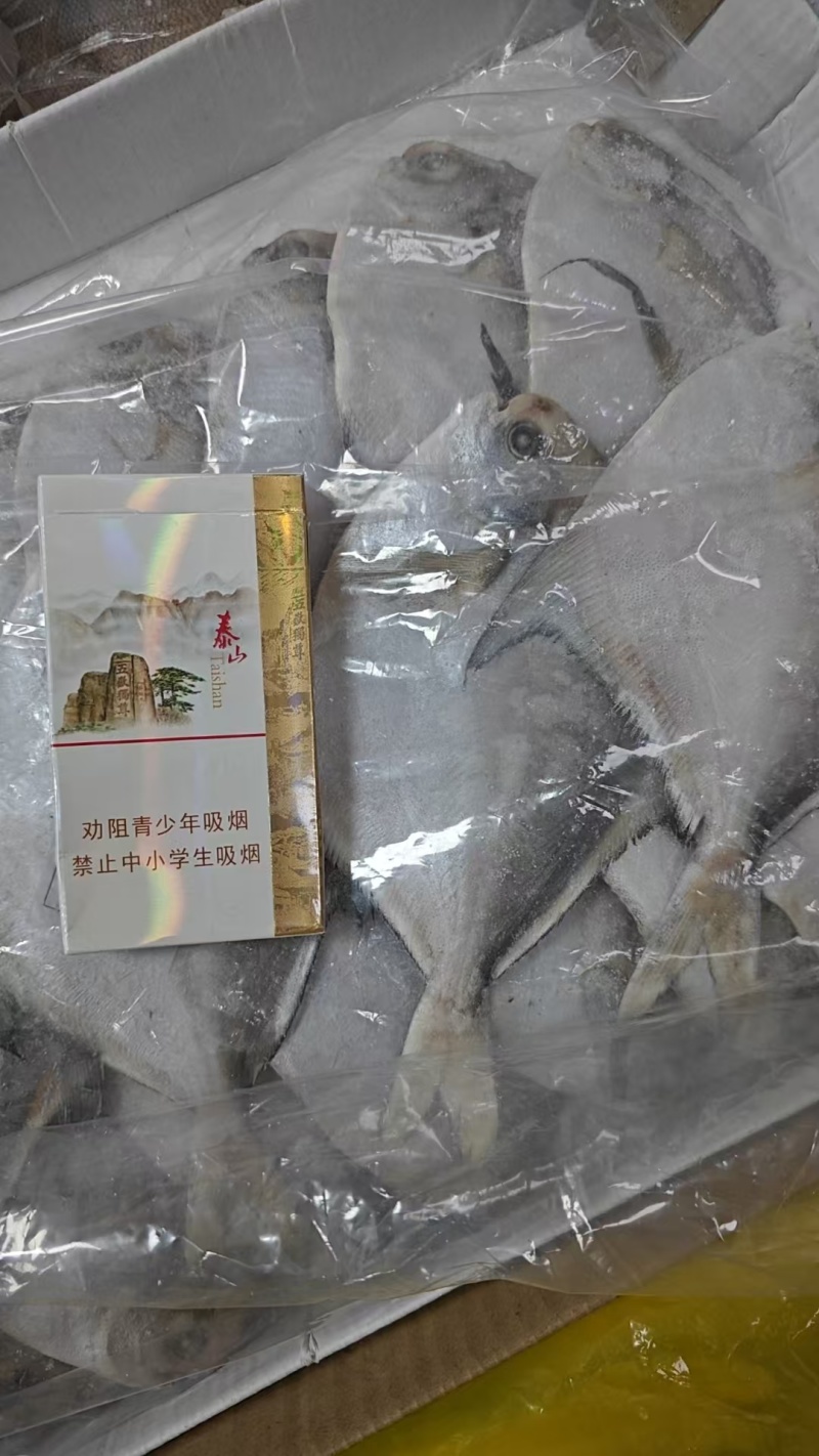 鲳鱼