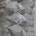 鲳鱼