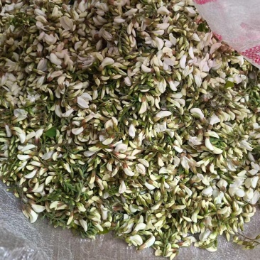 深山处美食槐花