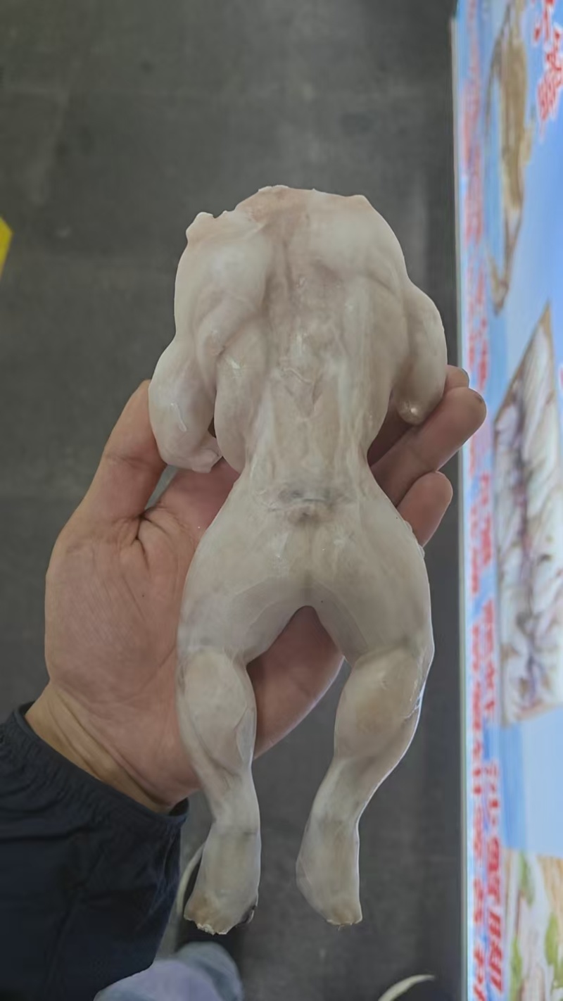 牛蛙
