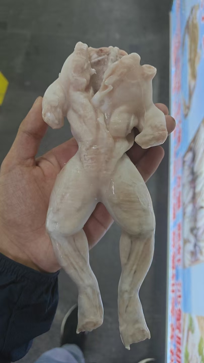 牛蛙