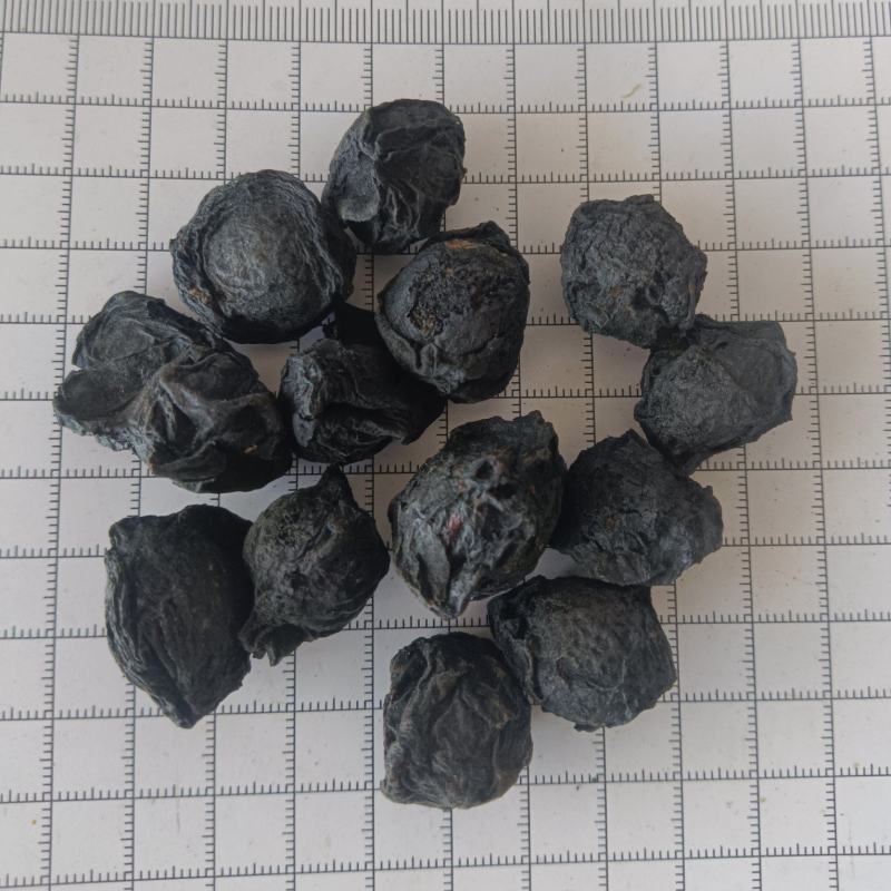 乌梅，乌梅干，产地直销，实拍现货接单秒发货
