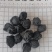 乌梅，乌梅干，产地直销，实拍现货接单秒发货