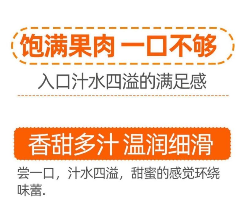 精选海南金煌芒产地直发大芒果对接市场电商商超