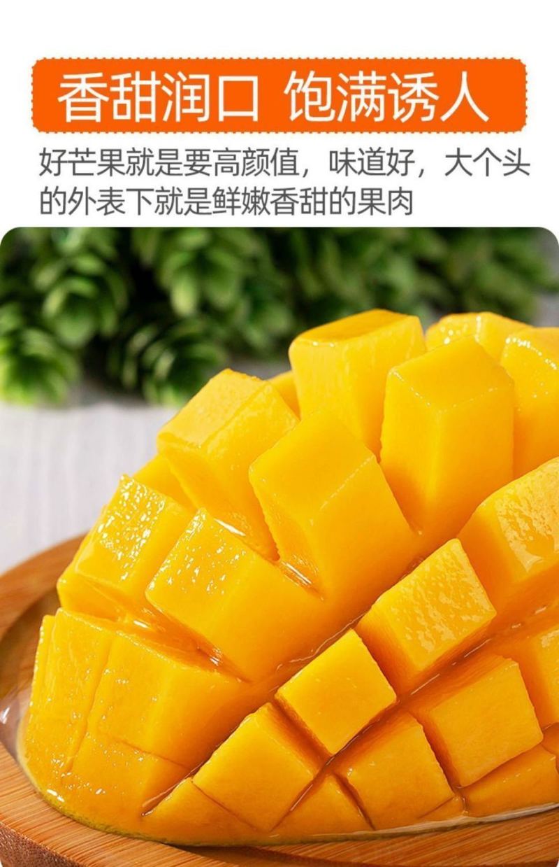 精选海南金煌芒产地直发大芒果对接市场电商商超