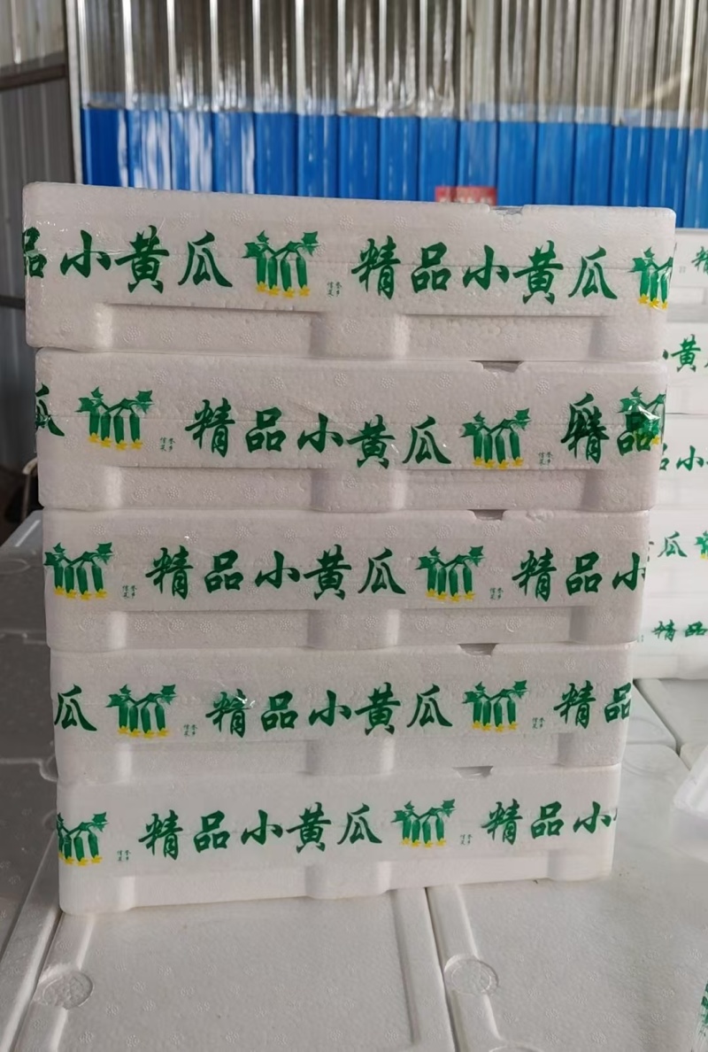 【供应社区团购】山东瑞丽水果小黄瓜乳瓜鲜嫩可口整车发货