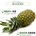 金砖凤梨海南产暴甜