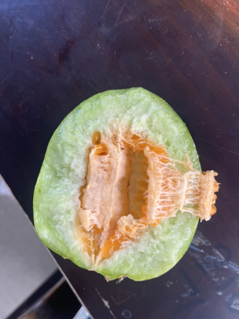 精品头茬花丹甜瓜