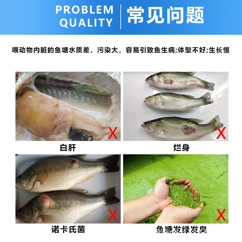 各大品牌高档鲈鱼，鳜鱼料，旺海，澳华，海大，鼎一，上上。
