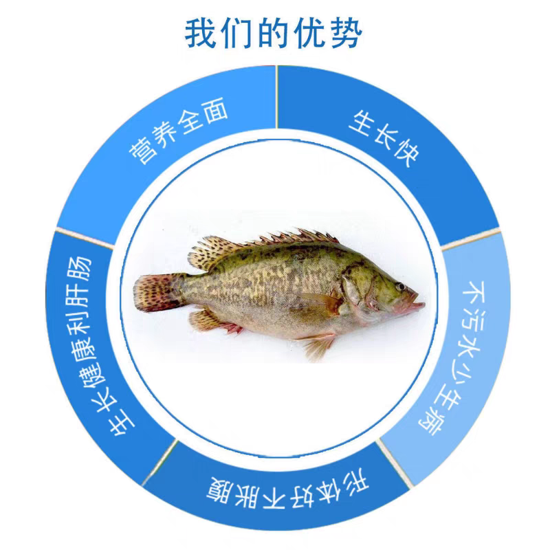 各大品牌高档鲈鱼，鳜鱼料，旺海，澳华，海大，鼎一，上上。