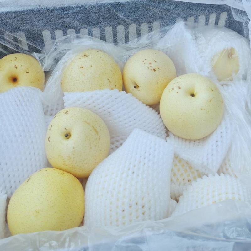 二级皇冠梨赵县皇冠梨河北皇冠梨电商平台优选