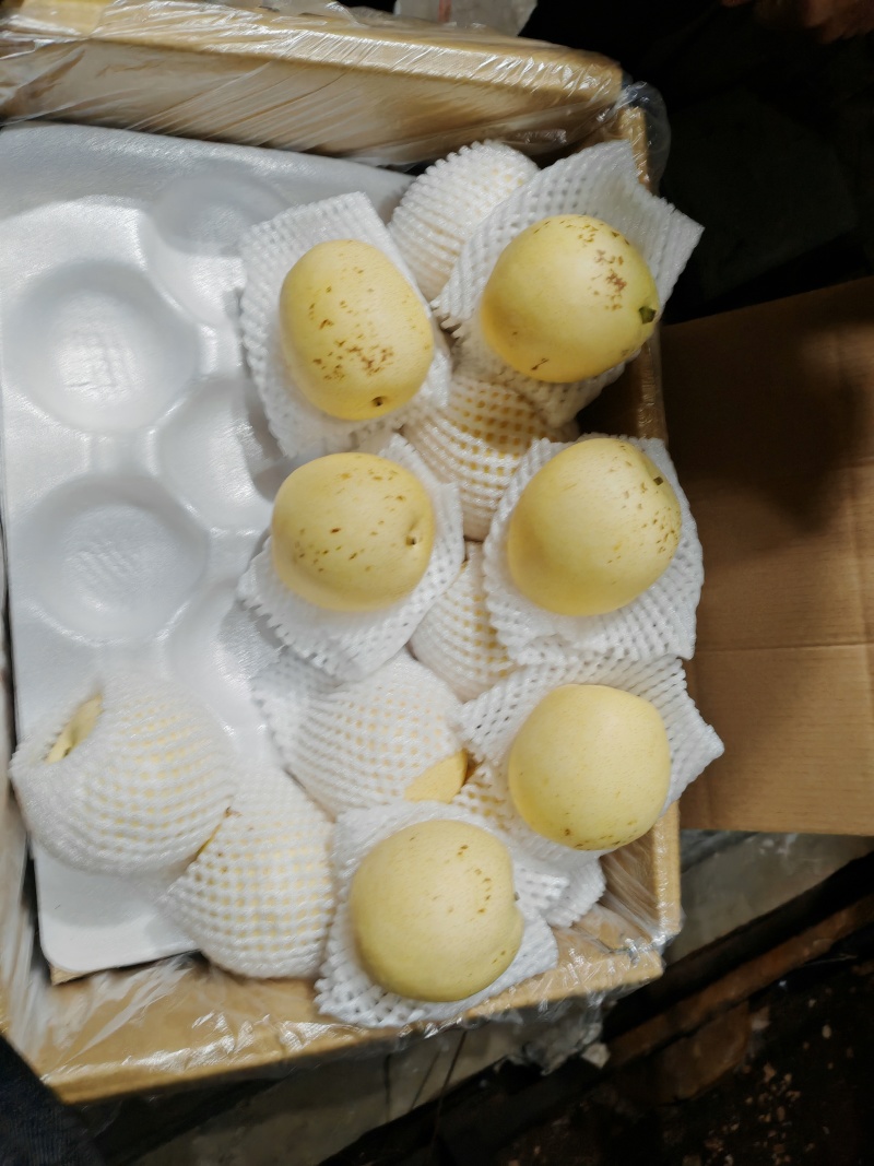 二级皇冠梨赵县皇冠梨河北皇冠梨电商平台优选