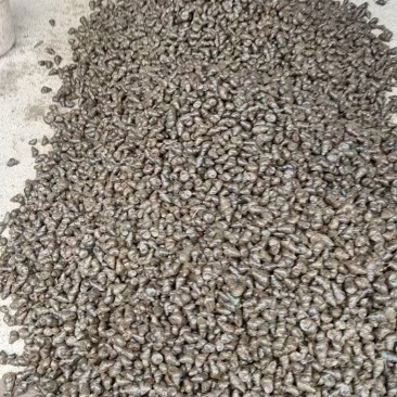 精品手工螺肉，货量充足，产地直发，诚信经营