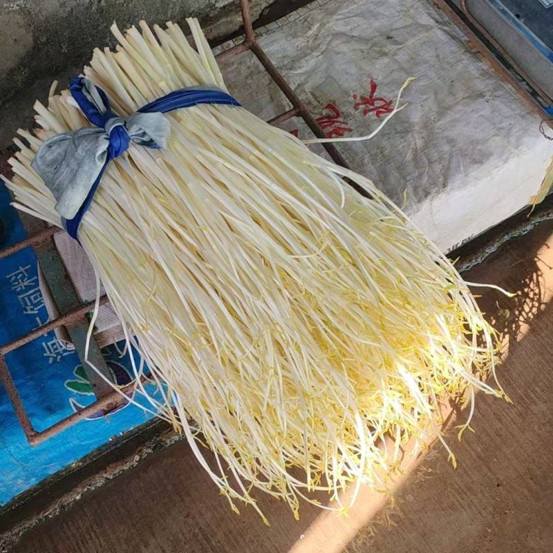 溧阳白芹