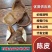 包邮陈皮，正品新会11年陈皮有量有价，品质保证正宗