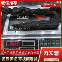 包邮纯野生肉苁蓉新货，熟的，一公斤1000克起发