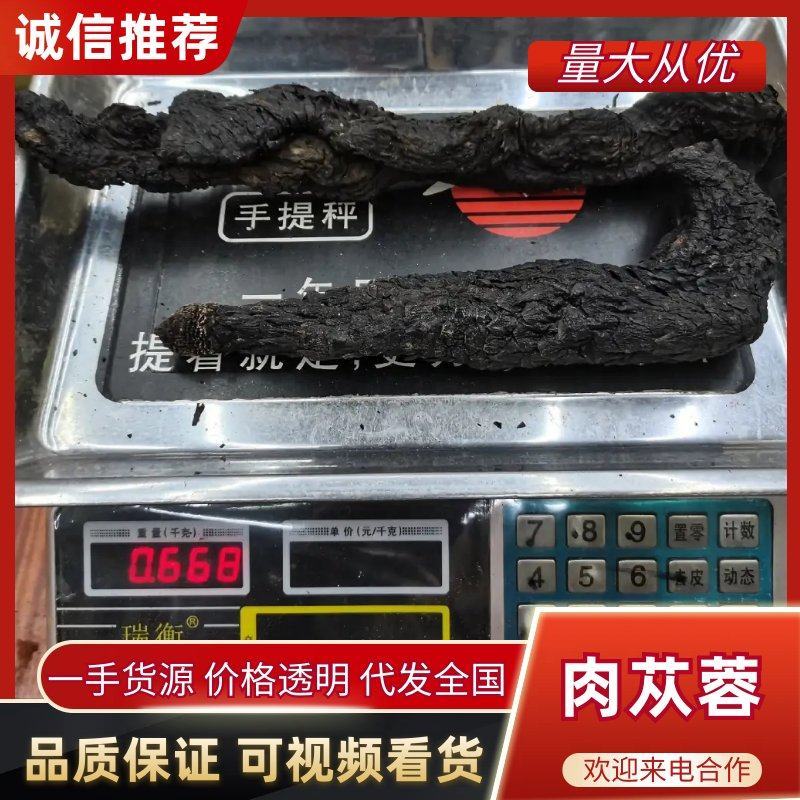 包邮纯野生肉苁蓉新货，熟的，一公斤1000克起发